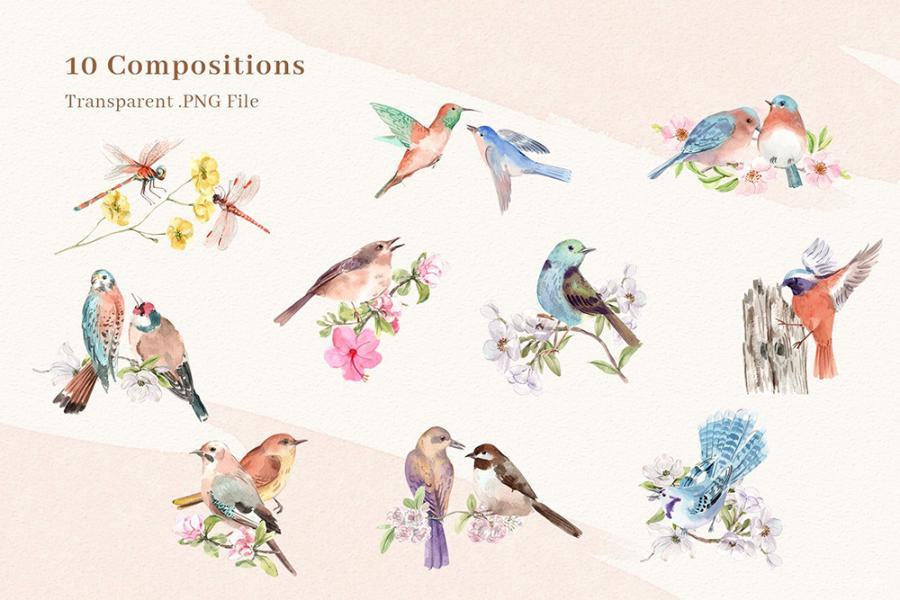 25xt-161506 Spring-Birds-of-Spring-Watercolorz3.jpg