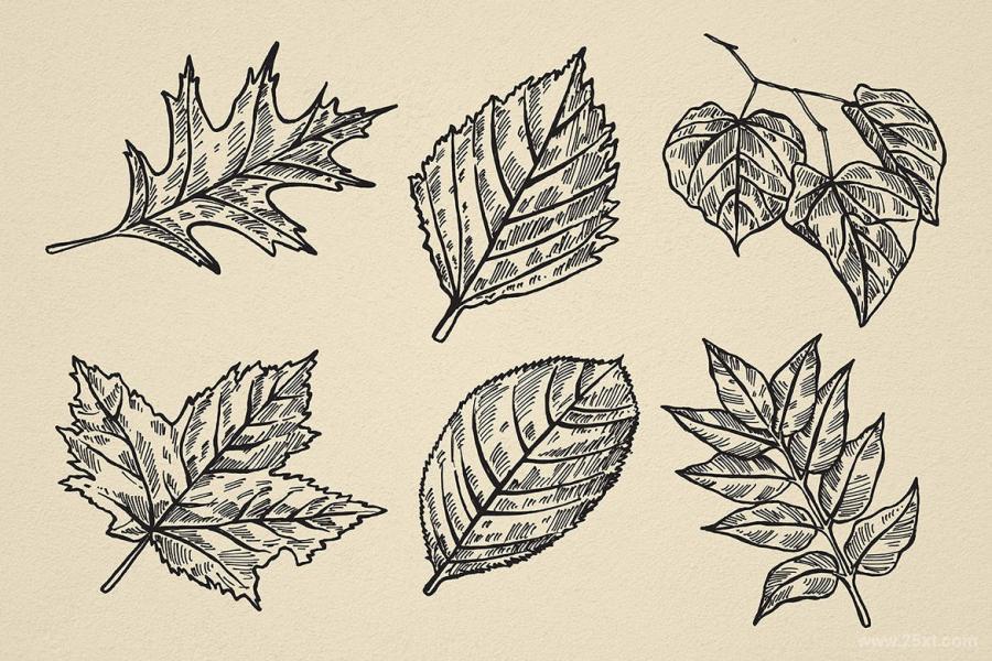 25xt-161620 Nature-Forest-Hand-drawn-Elements-2z6.jpg