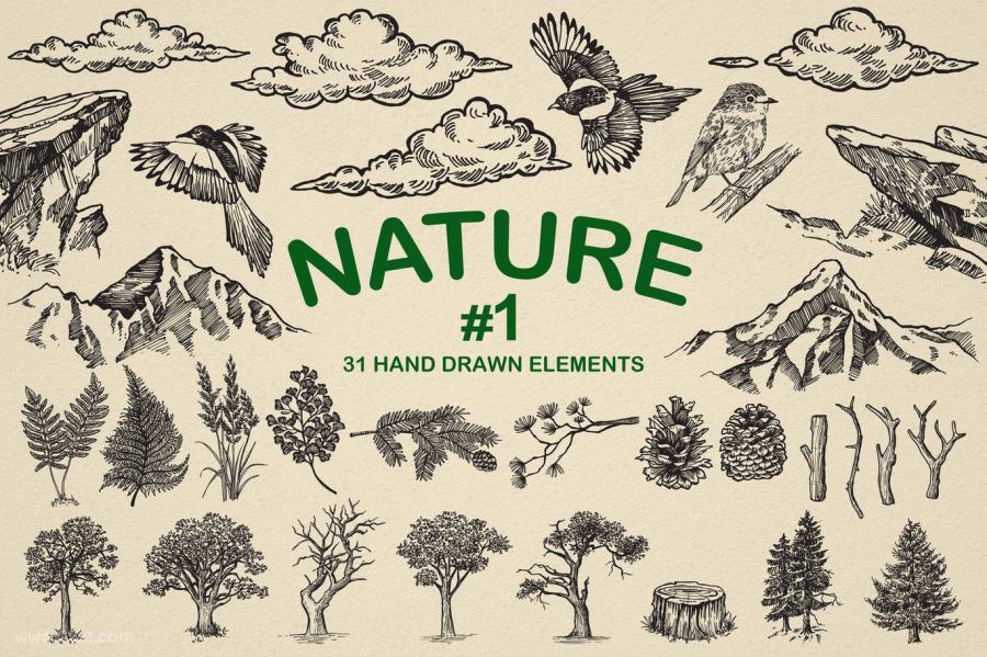 25xt-161621 Nature-Forest-Hand-drawn-Elements-1z2.jpg