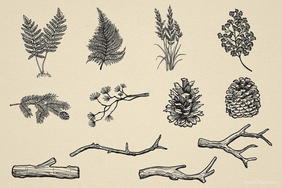 25xt-161621 Nature-Forest-Hand-drawn-Elements-1z5.jpg
