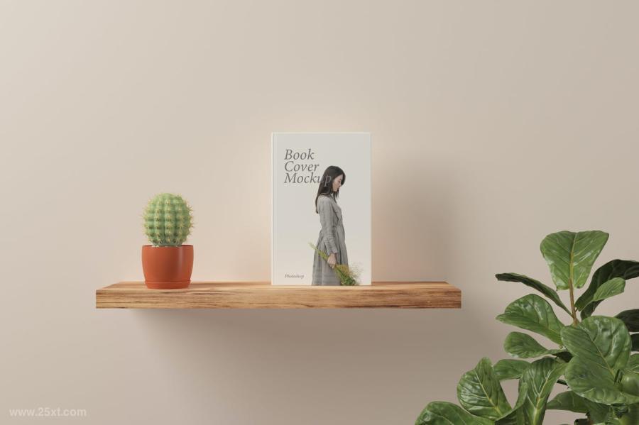 25xt-161633 Book-Cover-Mockupsz3.jpg