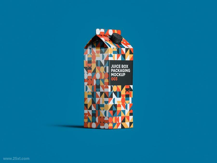 25xt-161638 Juice-Box-Packaging-Mockup-003z3.jpg