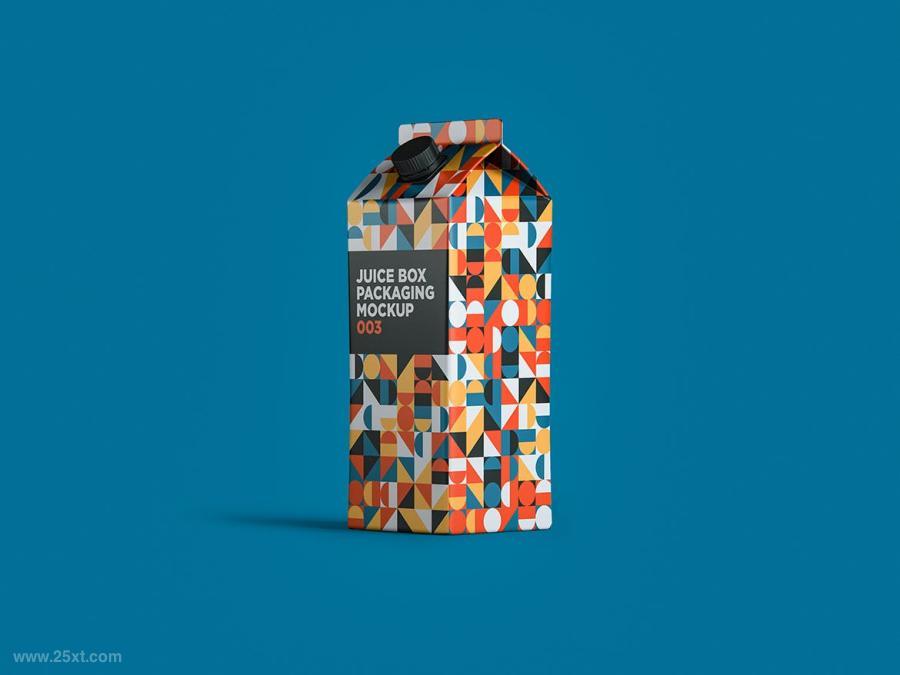 25xt-161638 Juice-Box-Packaging-Mockup-003z4.jpg