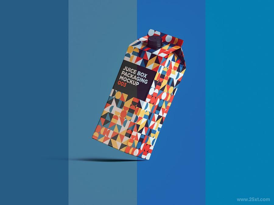 25xt-161638 Juice-Box-Packaging-Mockup-003z6.jpg