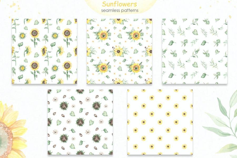 25xt-161199 Sunflowers-Watercolor-collectionz12.jpg