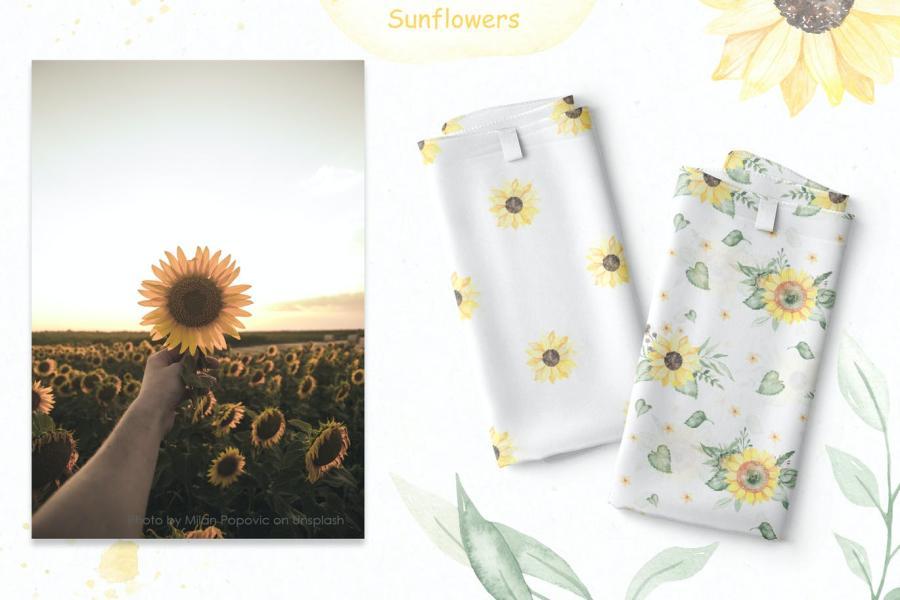25xt-161199 Sunflowers-Watercolor-collectionz13.jpg