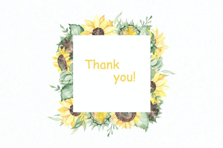 25xt-161199 Sunflowers-Watercolor-collectionz14.jpg