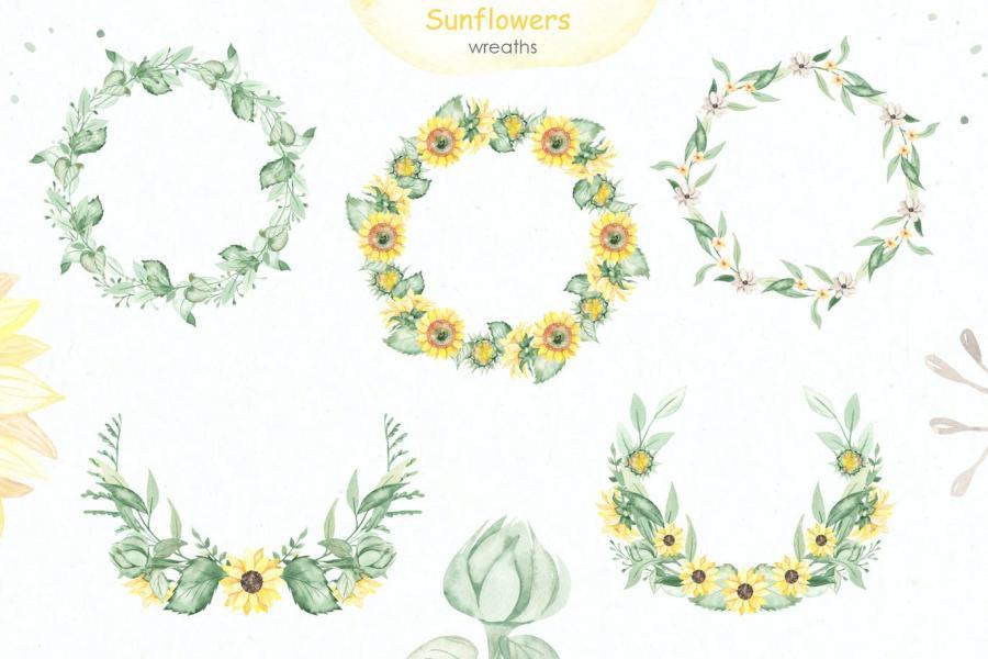 25xt-161199 Sunflowers-Watercolor-collectionz9.jpg