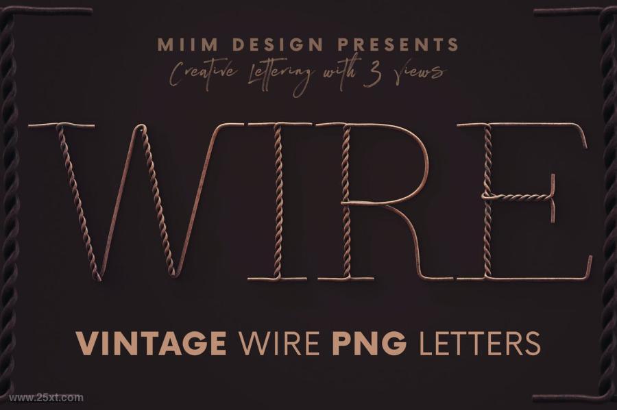 25xt-161244 Vintage-Wire---3D-Letteringz2.jpg