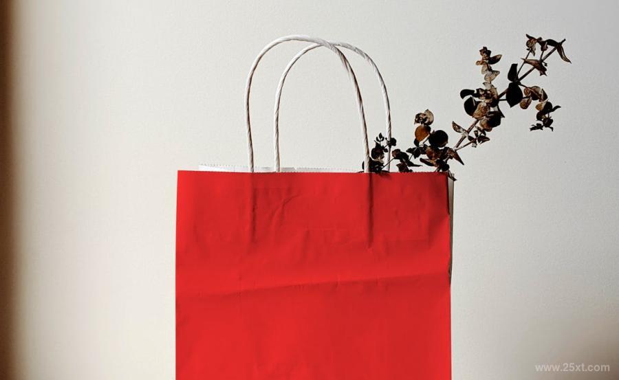 25xt-170625 Paper-Bag-Mockup-Vol03z6.jpg