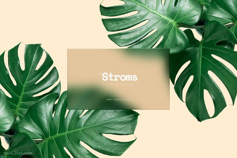 25xt-170641 Transparent-Plastic-Card-Mockupz5.jpg