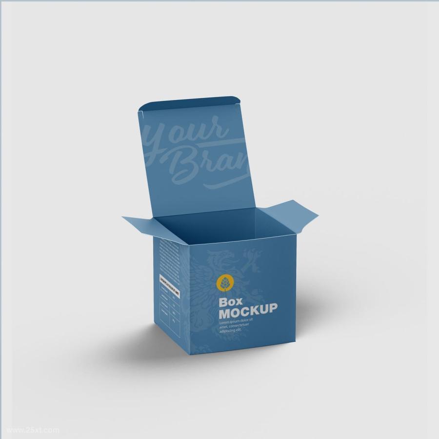 25xt-128519 Open-Cardboard-Box-Mockupz3.jpg