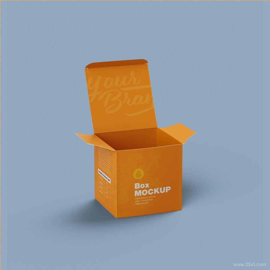 25xt-128519 Open-Cardboard-Box-Mockupz4.jpg