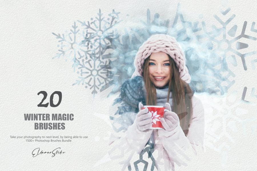 25xt-128660 20-Winter-Magic-Photoshop-Brushesz2.jpg