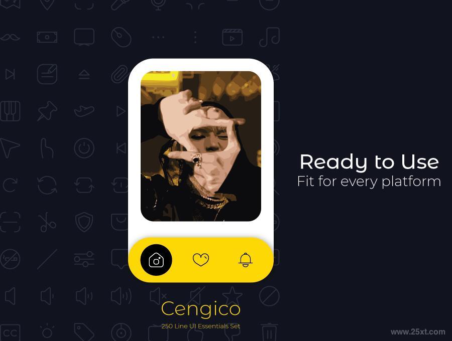 25xt-161859 Cengico250lineEssentialsUISetz3.jpg