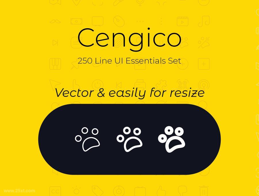 25xt-161859 Cengico250lineEssentialsUISetz5.jpg