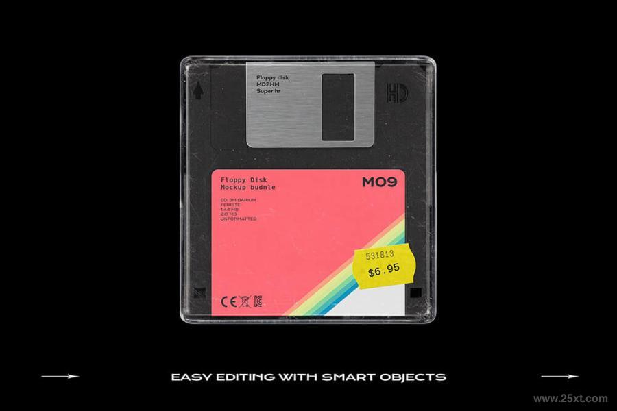 25xt-128476 Floppy-Disk-Mockup-Template-Bundlez21.jpg