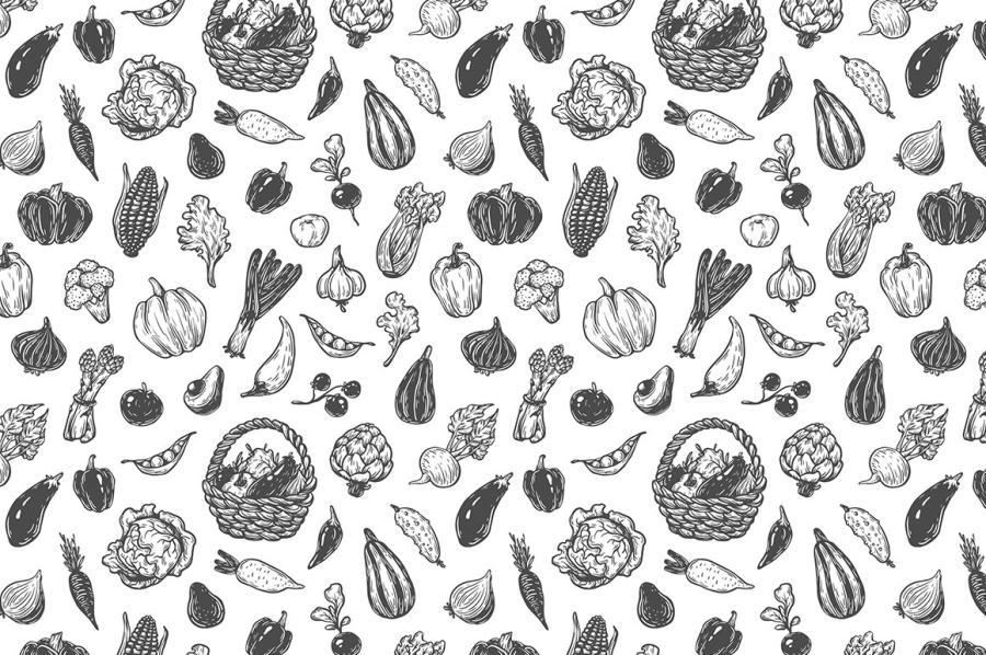 25xt-128755-VectorVegetablesIllustrationsz2.jpg/