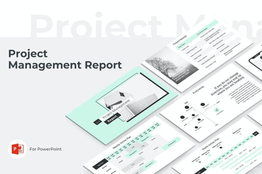 25xt-170855 Project-Management-Report-PowerPointz2.jpg