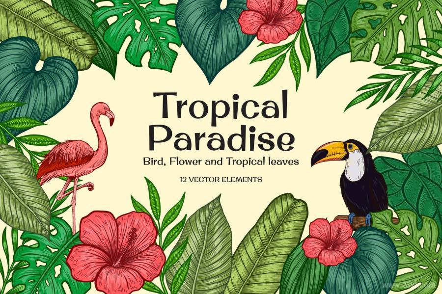 25xt-128827 Tropical-Paradise---Hand-drawn-Vector-Elementsz2.jpg