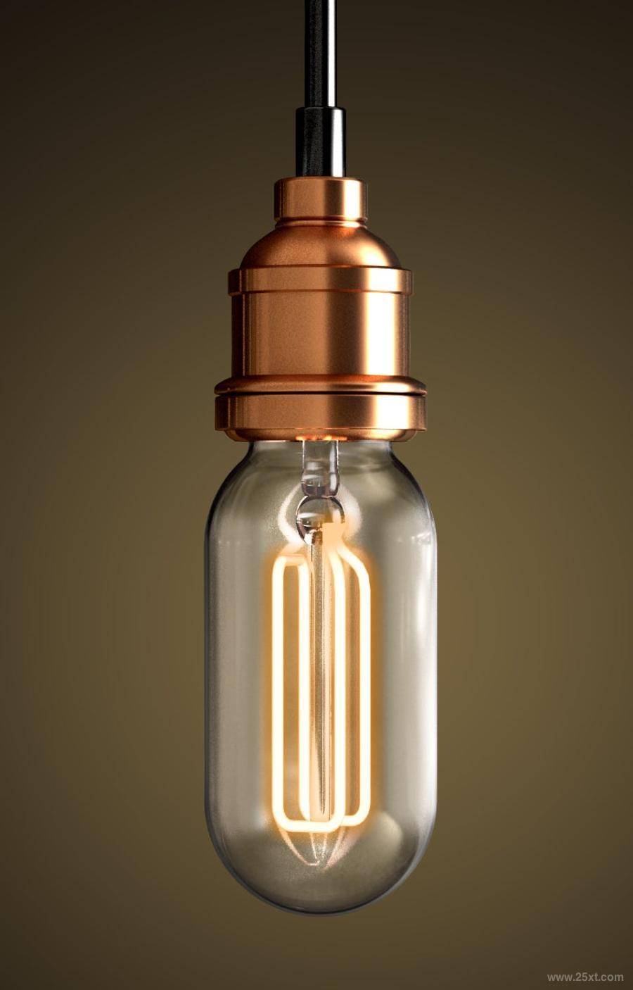 25xt-128832 Vintage-Lightbulb-PNG-Rendersz10.jpg