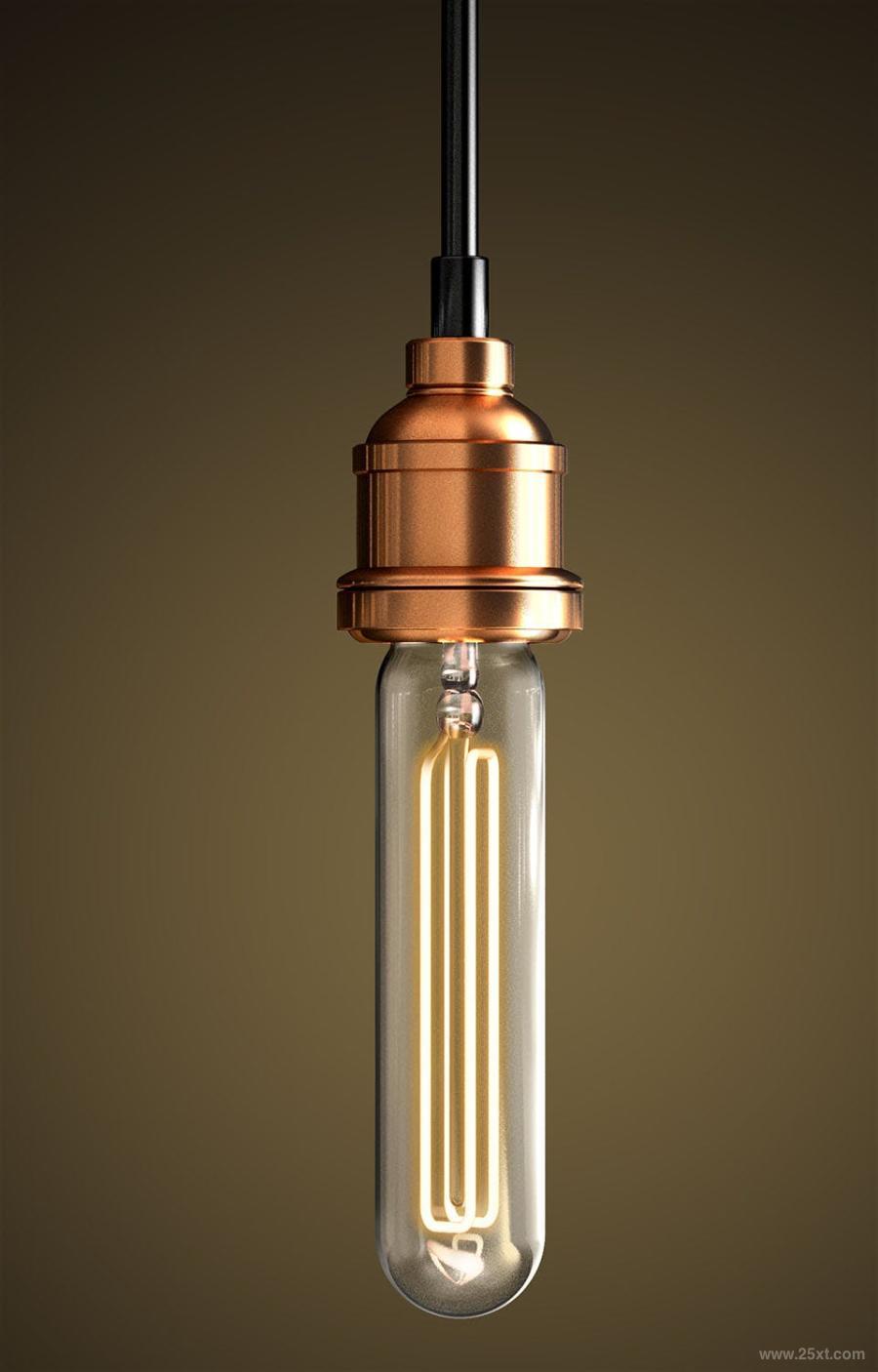 25xt-128832 Vintage-Lightbulb-PNG-Rendersz12.jpg