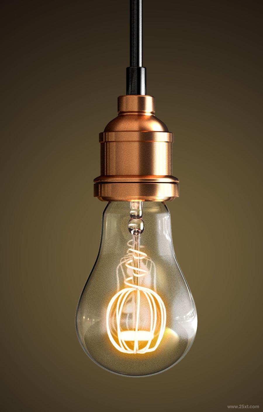 25xt-128832 Vintage-Lightbulb-PNG-Rendersz5.jpg
