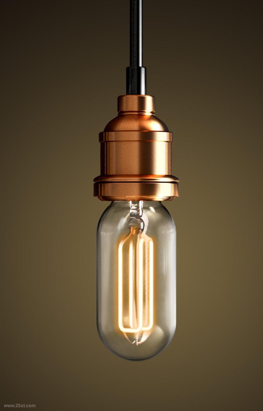 25xt-128832 Vintage-Lightbulb-PNG-Rendersz7.jpg