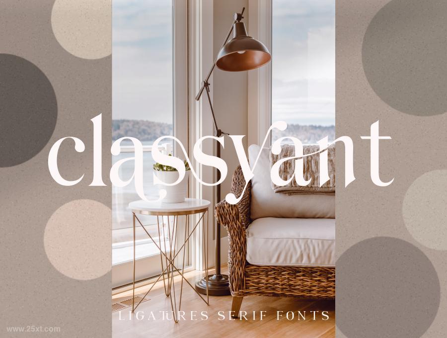 25xt-485220 Hildenstylishmodernseriffontz6.jpg