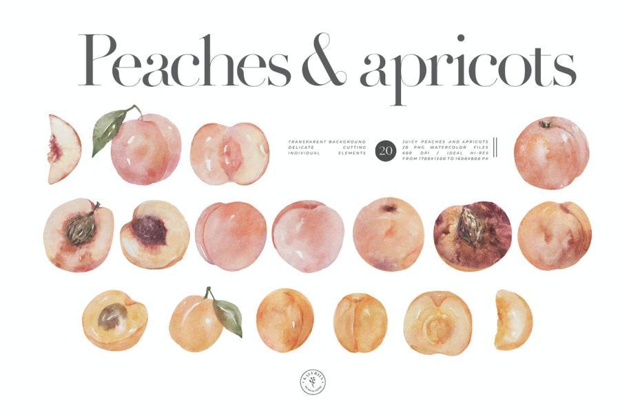 25xt-170808 Peaches-and-apricots---cute-watercolor-summer-kitz2.jpg