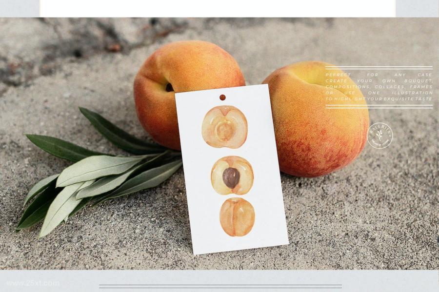 25xt-170808 Peaches-and-apricots---cute-watercolor-summer-kitz3.jpg