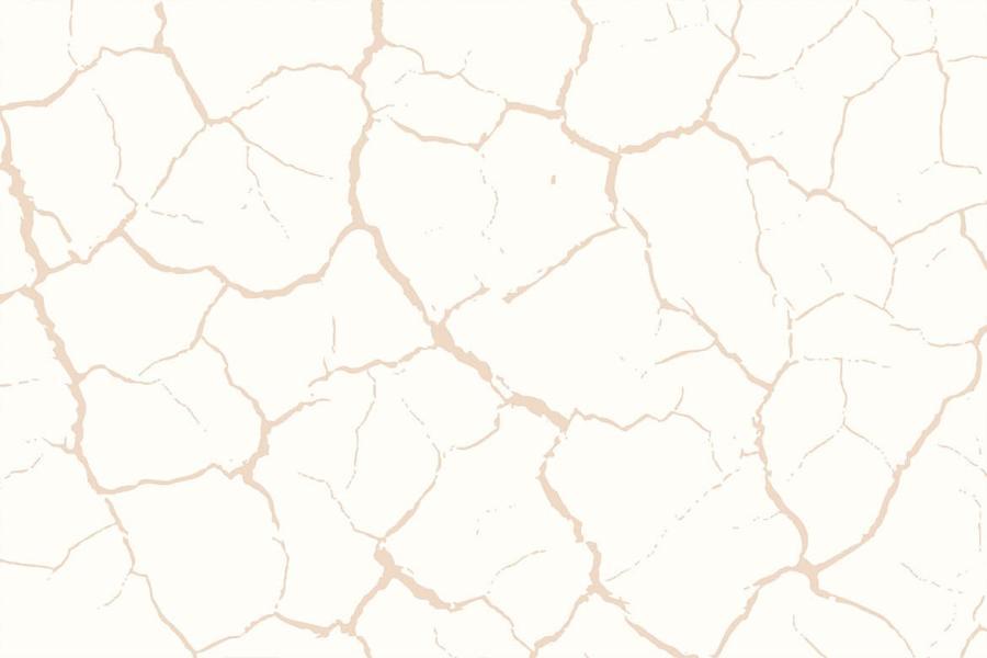 25xt-170820 Ground-Cracks-Vector-Texture-Backgroundsz13.jpg