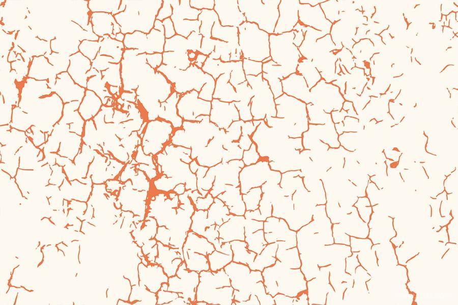 25xt-170820 Ground-Cracks-Vector-Texture-Backgroundsz7.jpg