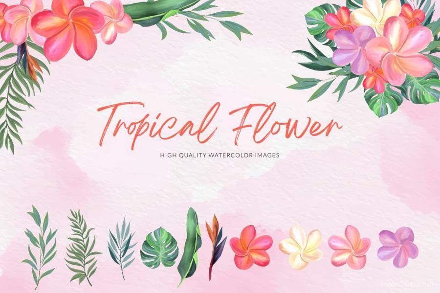 25xt-170842 Tropical-Flower-Watercolorz2.jpg