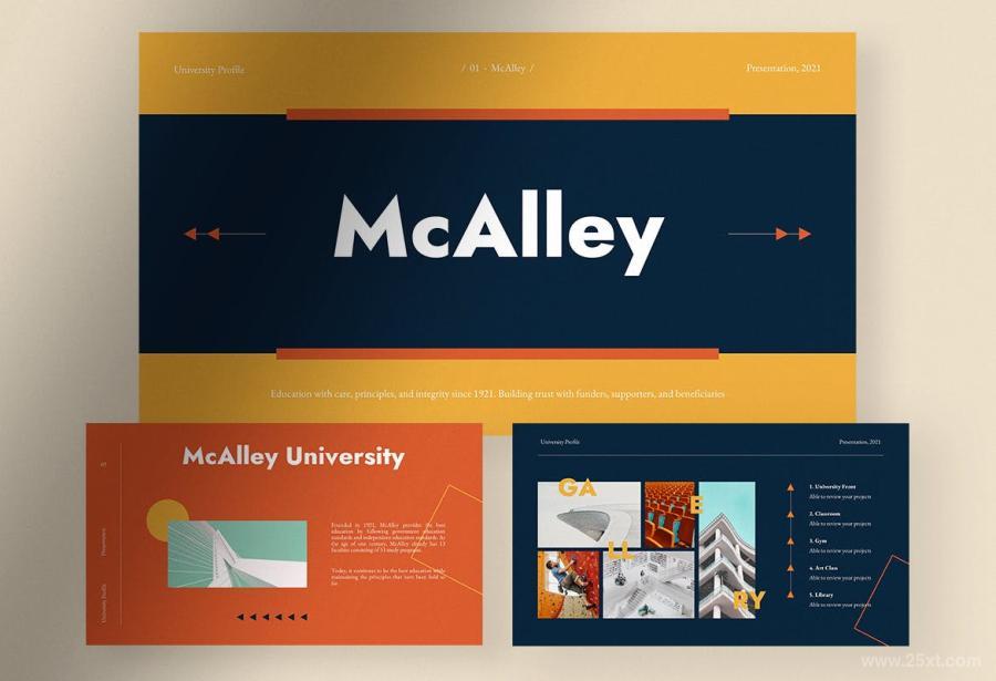 25xt-170974 McAlley---Creative-University-Profile-Presentationz6.jpg