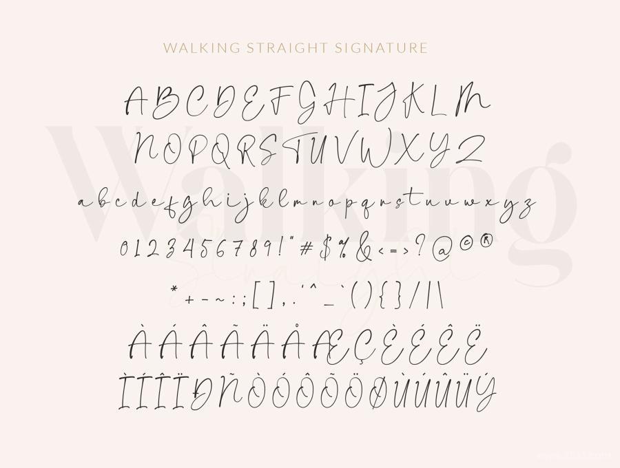 25xt-485501 walkingStraightfontduoserifandsignaturetypefacez9.jpg
