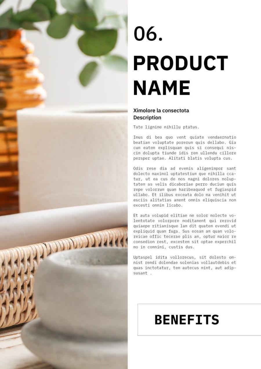 25xt-162817 Product-Catalog-Layoutz3.jpg