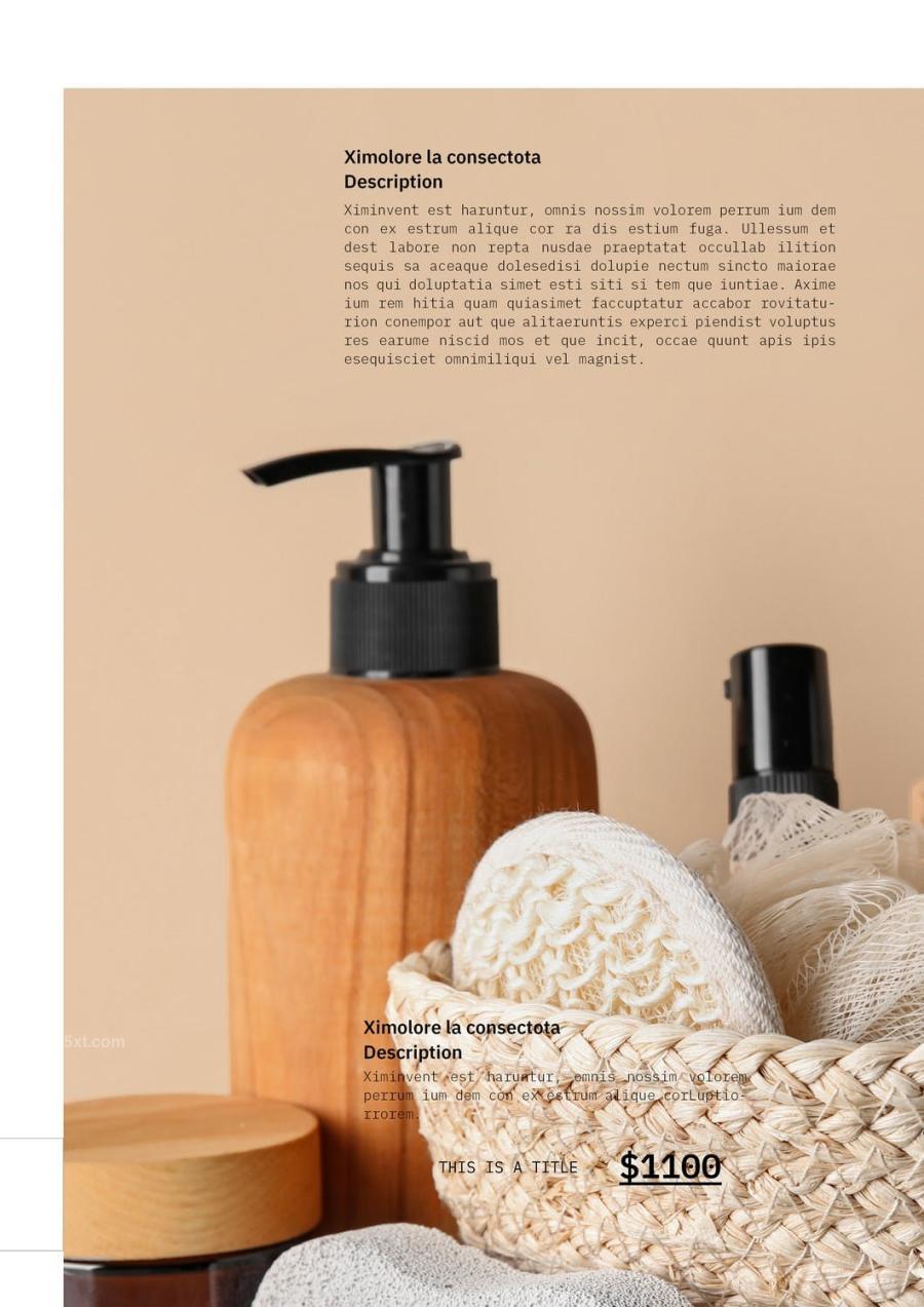 25xt-162817 Product-Catalog-Layoutz7.jpg