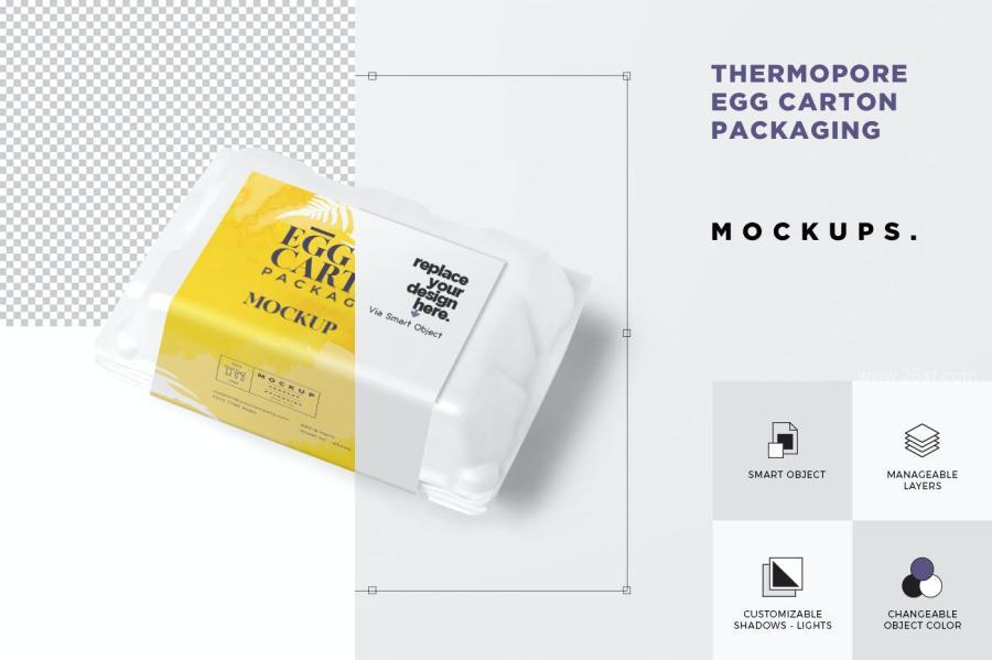 25xt-162826 Foam-Egg-Carton-Mockupsz7.jpg