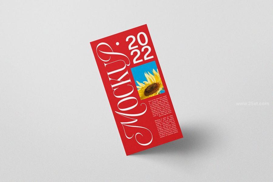 25xt-162486 DL-Paper-Mockupz4.jpg