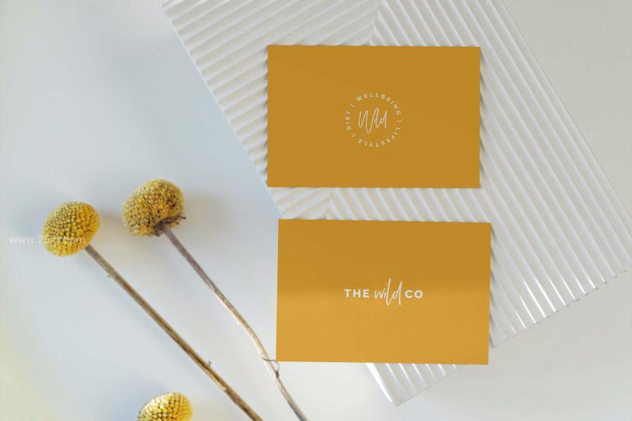 25xt-162508 Business-Card-Mockup-Natural-Texturez3.jpg