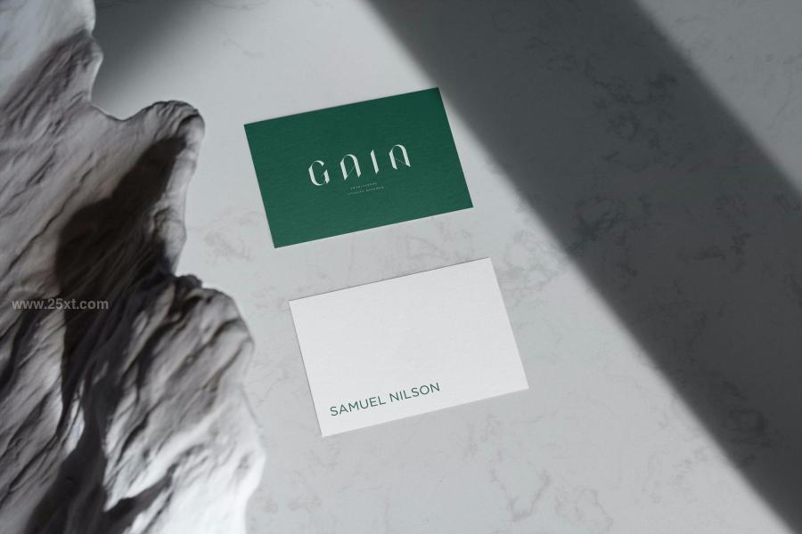 25xt-162508 Business-Card-Mockup-Natural-Texturez4.jpg