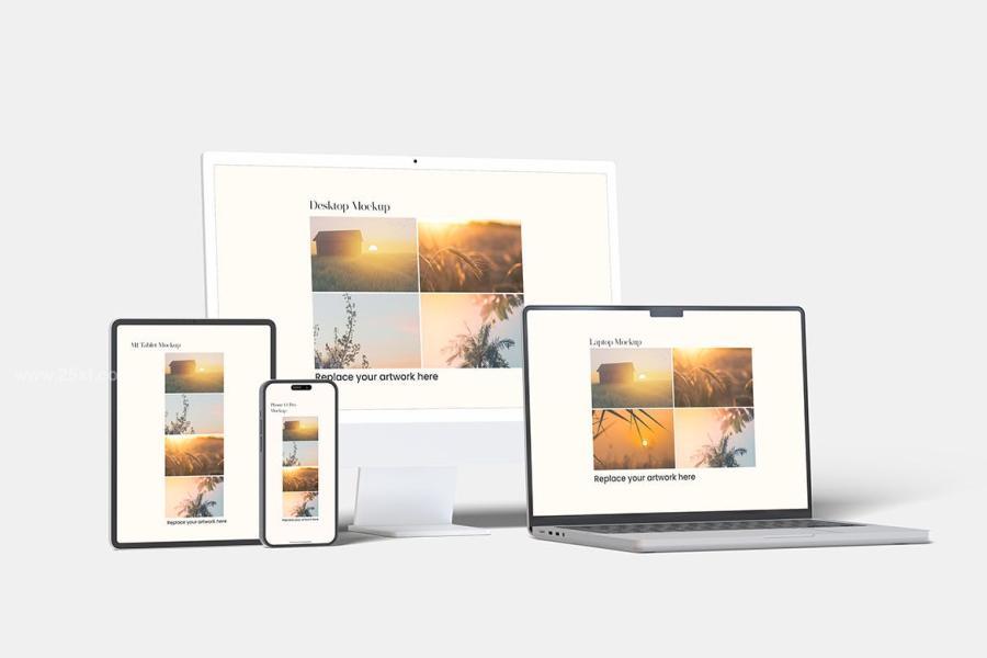 25xt-162909 Multi-Device-Realistic-Mockupz3.jpg