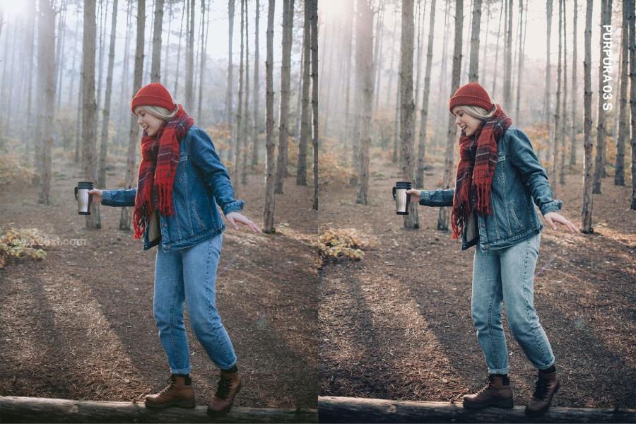 25xt-163153 25-November-Lightroom-Presets-and-LUTsz12.jpg