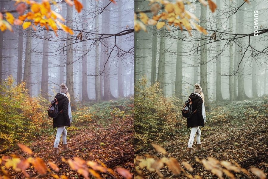 25xt-163153 25-November-Lightroom-Presets-and-LUTsz3.jpg