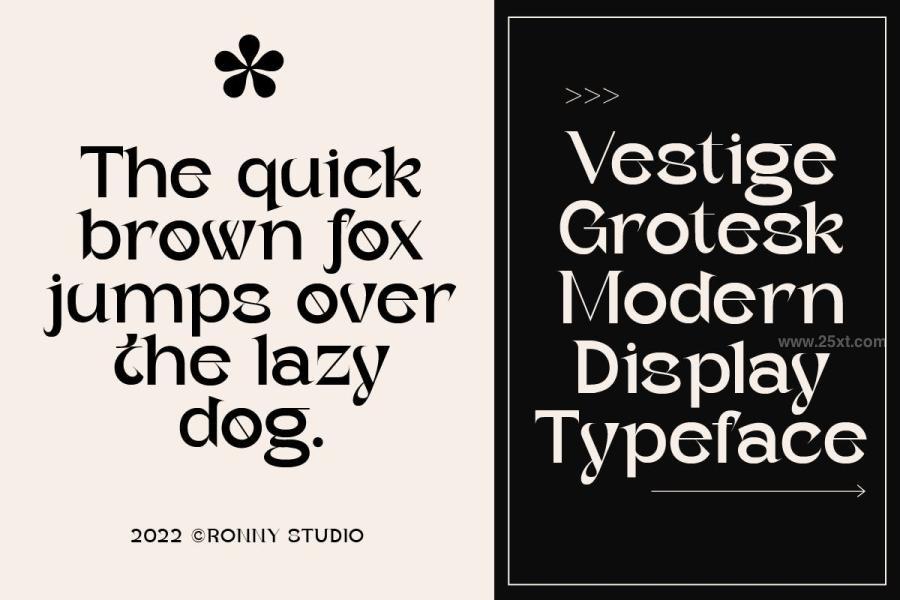 25xt-163164 Vestige-Grotesk---Modern-Typefacez13.jpg