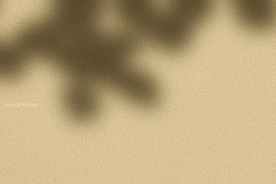 25xt-163180 Aesthetic-Shadow-Overlayz3.jpg