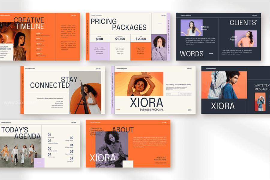 25xt-163236 Xiora-modern-retro-business-proposal-presentationz4.jpg