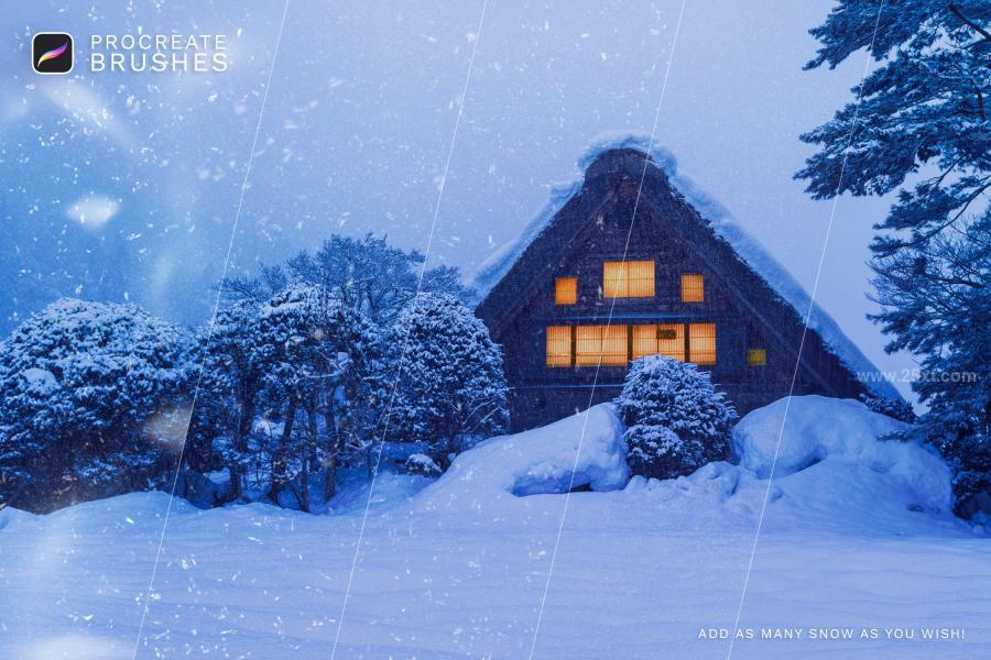 25xt-163247 Snow-Procreate-Brushesz4.jpg