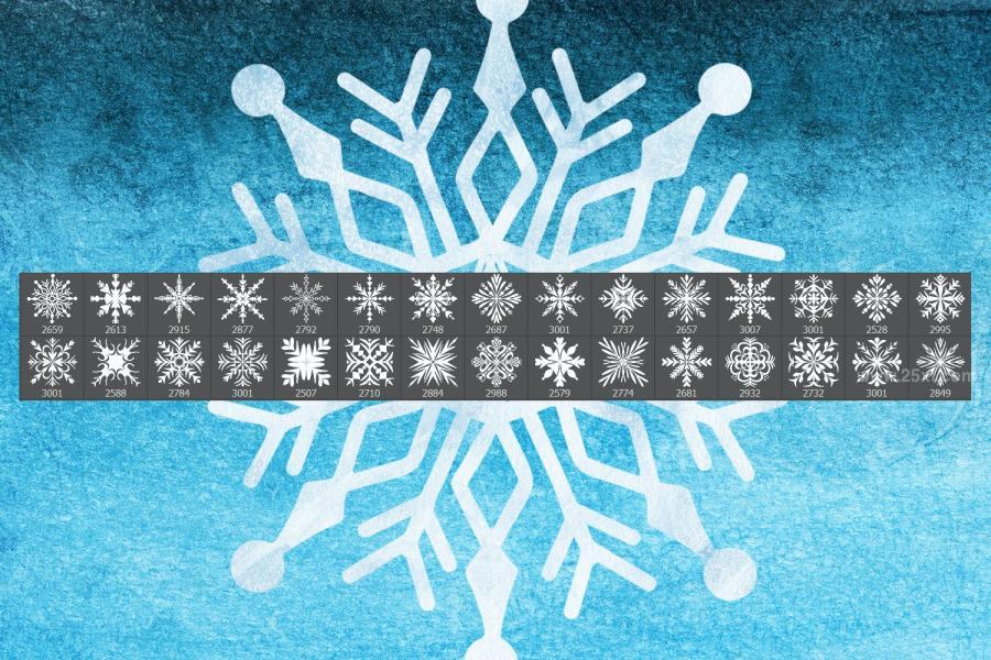25xt-163299 Snowflakes-Stamp-Brushesz4.jpg